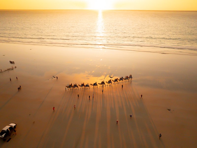 6616ab8ed8c3c268632d0a1d_camel2_1748153406355.jpg