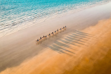 6616ab8ed8c3c268632d0a1d_camels-1-1-of-1-_1748152752146.jpg