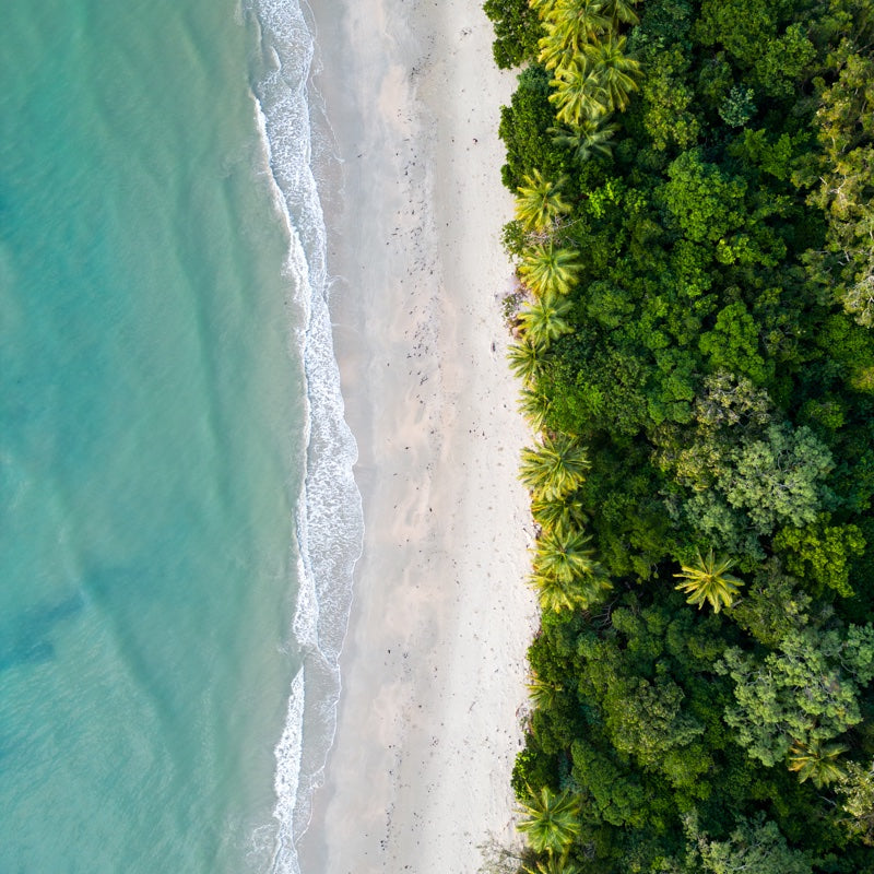 Daintree Rainforest Aerial Beach View