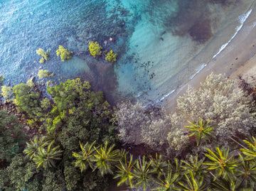 PORT DOUGLAS | FOUR MILE BEACH TOP DOWN