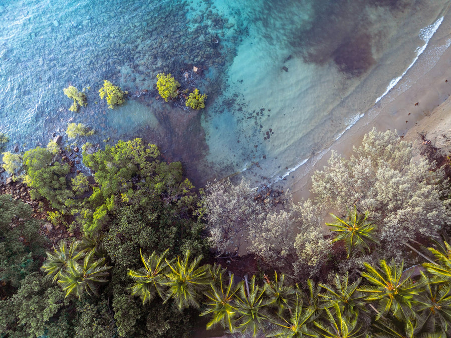 PORT DOUGLAS | FOUR MILE BEACH TOP DOWN