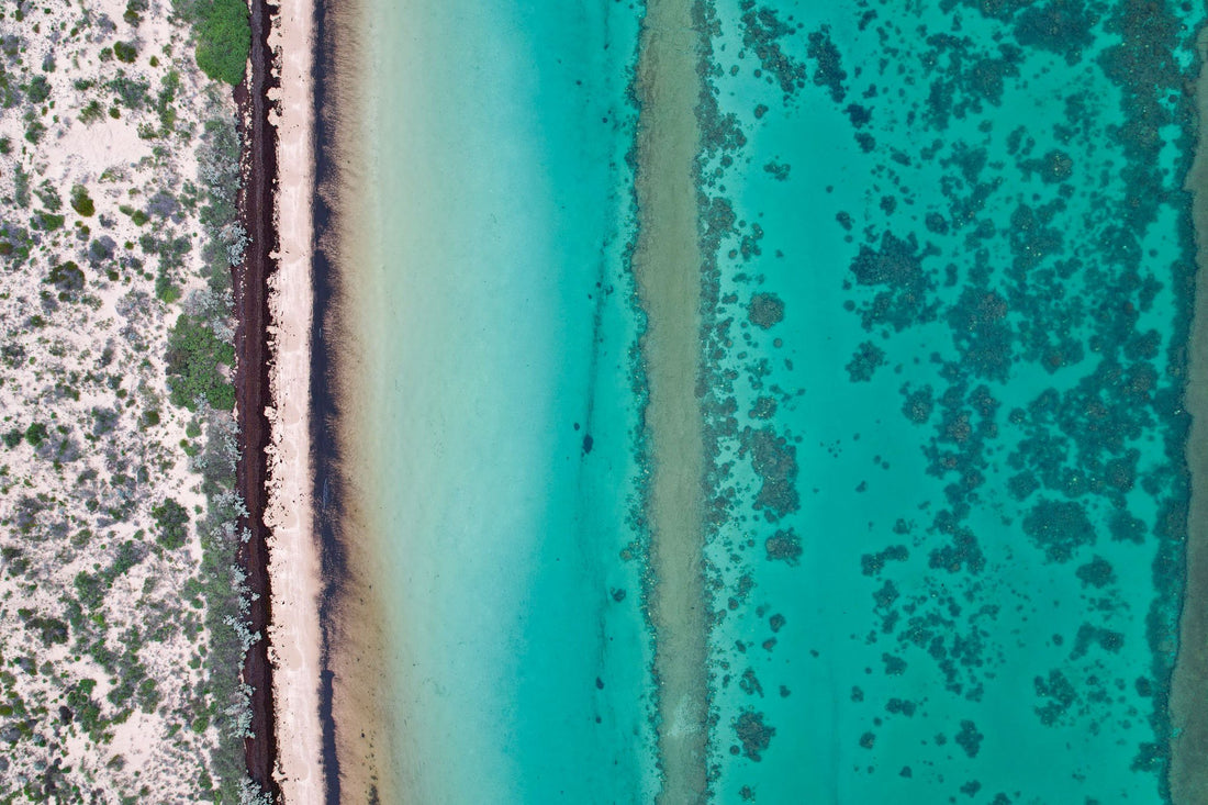 6616ab8ed8c3c268632d0a1d_dji-0457_1747640238290.jpg