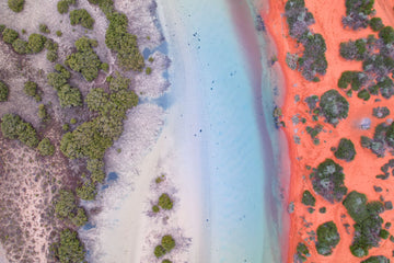 6616ab8ed8c3c268632d0a1d_dji-0553-2_1747640674180.jpg