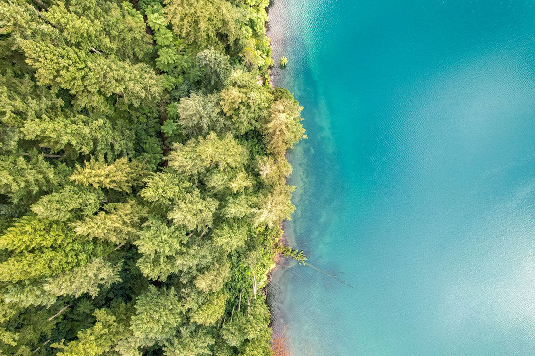 6616ab8ed8c3c268632d0a1d_dji-0628-2_1747641066873.jpg