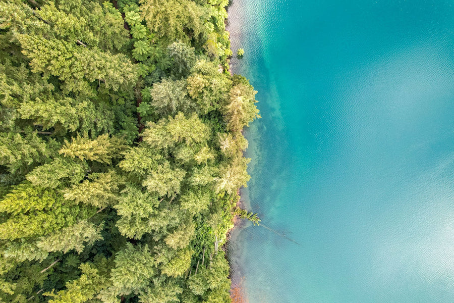 6616ab8ed8c3c268632d0a1d_dji-0628-2_1747641066873.jpg
