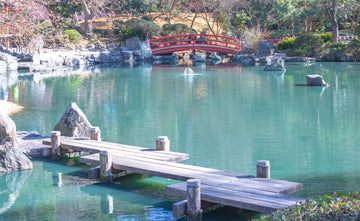 6616ab8ed8c3c268632d0a1d_japanese-garden_1756032890901.jpg