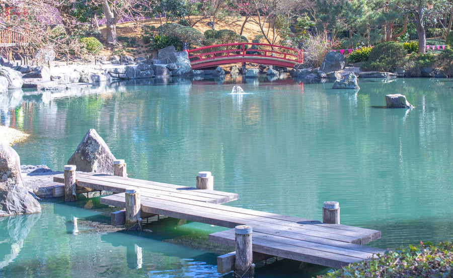6616ab8ed8c3c268632d0a1d_japanese-garden_1756032890901.jpg