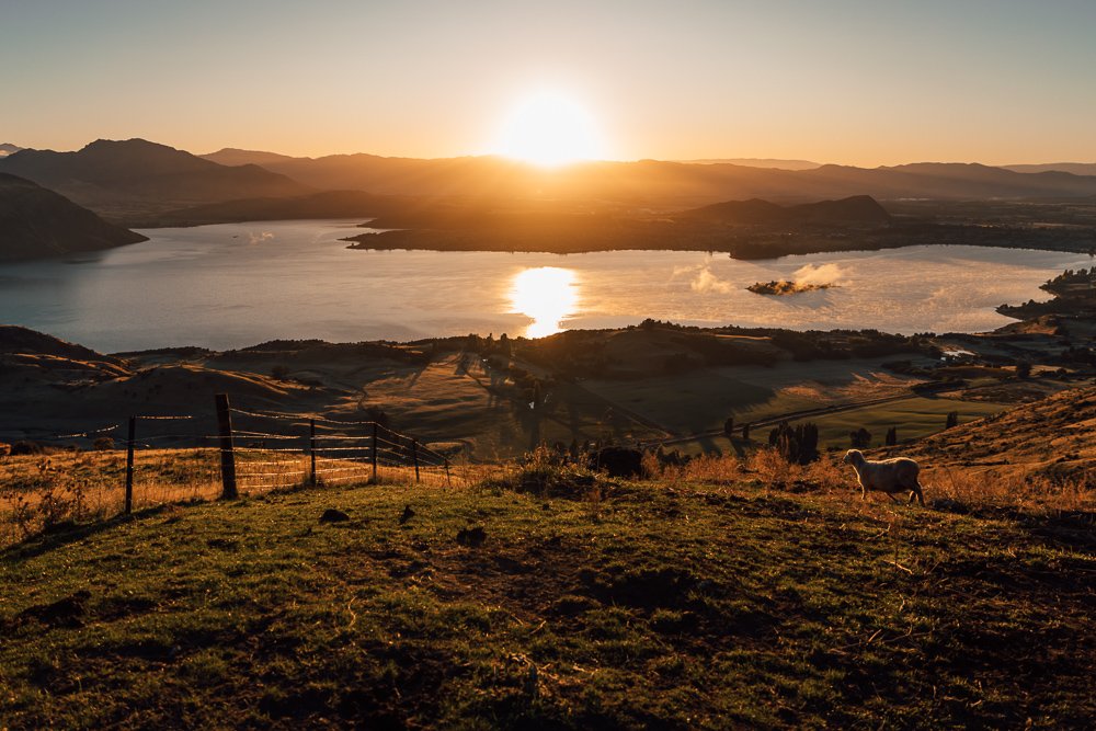 6616ab8ed8c3c268632d0a1d_lake-wa-naka-new-zealand_1755586091521.jpg