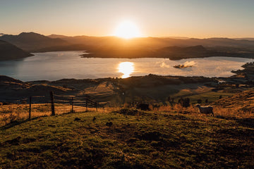 6616ab8ed8c3c268632d0a1d_lake-wa-naka-new-zealand_1755586091521.jpg