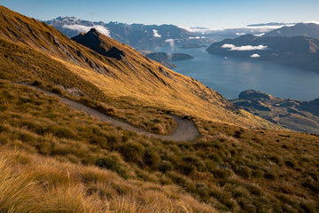 6616ab8ed8c3c268632d0a1d_lake-wa-naka-roys-peak-nz_1755585937477.jpg