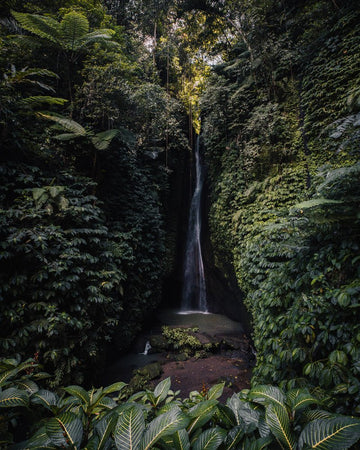 6616ab8ed8c3c268632d0a1d_leke-leke-waterfall-bali_1755592916724.jpg