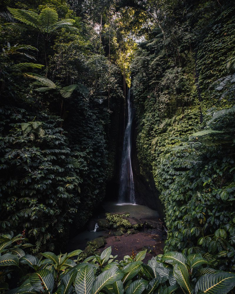 6616ab8ed8c3c268632d0a1d_leke-leke-waterfall-bali_1755592916724.jpg
