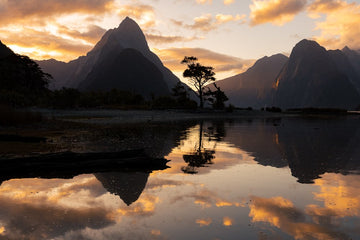 6616ab8ed8c3c268632d0a1d_milford-sound-new-zealand-landscape-_1755595274801.jpg