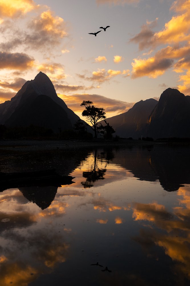 6616ab8ed8c3c268632d0a1d_milford-sound-new-zealand-portrait-_1755595279990.jpg