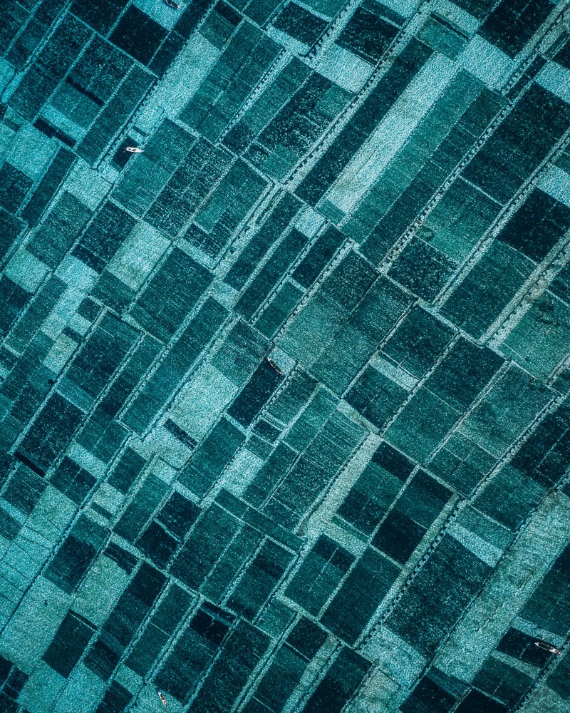 6616ab8ed8c3c268632d0a1d_nusa-lembongan-seaweed-farms-1_1755596337045.jpg