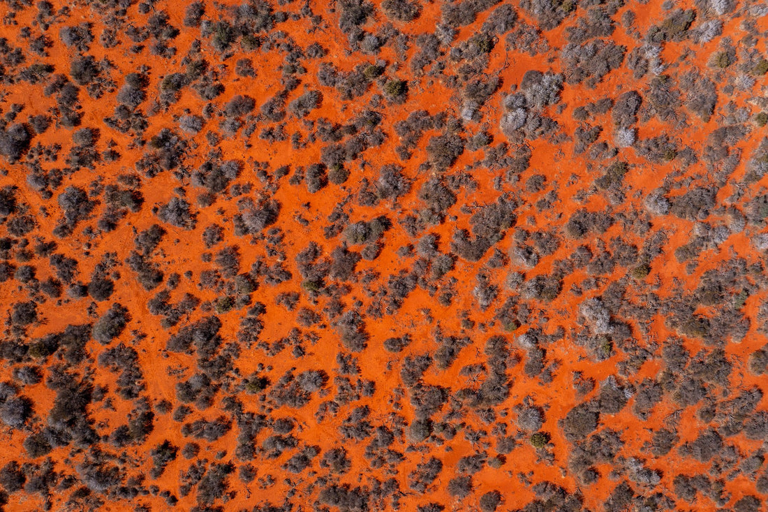 Outback Western Australia – Riptide Prints