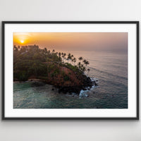 6616ab8ed8c3c268632d0a1d_parrot-island-black_1748321357408.jpeg