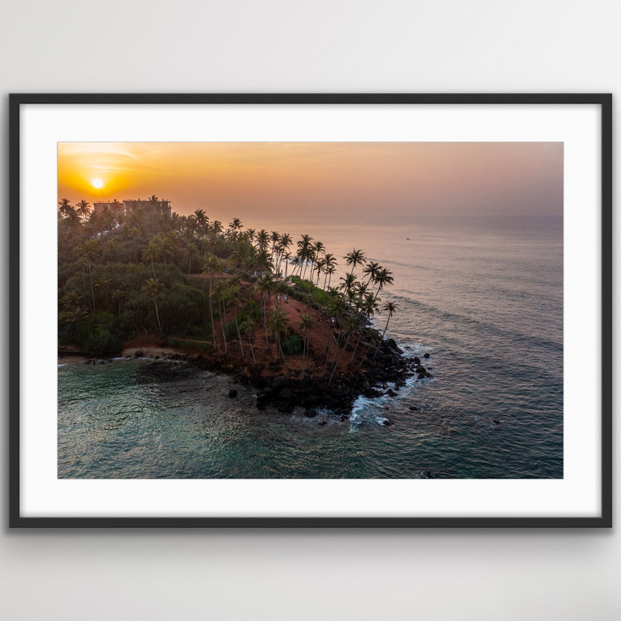 6616ab8ed8c3c268632d0a1d_parrot-island-black_1748321357408.jpeg