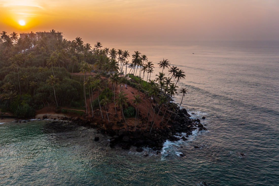 6616ab8ed8c3c268632d0a1d_parrot-island-sunrise_1748321351063.jpg