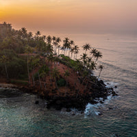 6616ab8ed8c3c268632d0a1d_parrot-island-sunrise_1748321351063.jpg