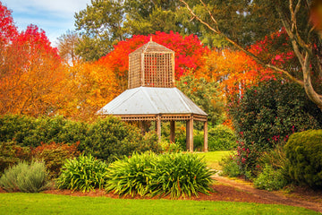 6616ab8ed8c3c268632d0a1d_picton-autumn_1752401109049.jpg