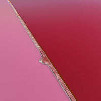 6616ab8ed8c3c268632d0a1d_pink-lake-5-1-of-1-_1749865737303.jpg