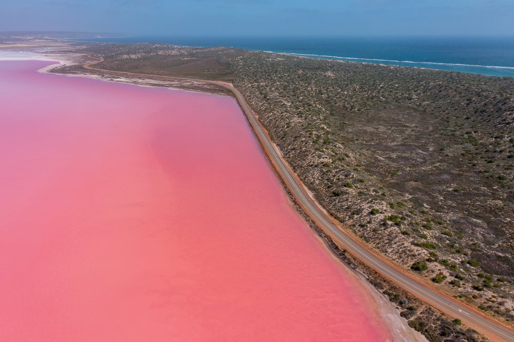 6616ab8ed8c3c268632d0a1d_pink-lake-western-australia-1_1755650279672.jpg