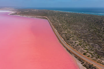 6616ab8ed8c3c268632d0a1d_pink-lake-western-australia-1_1755650279672.jpg