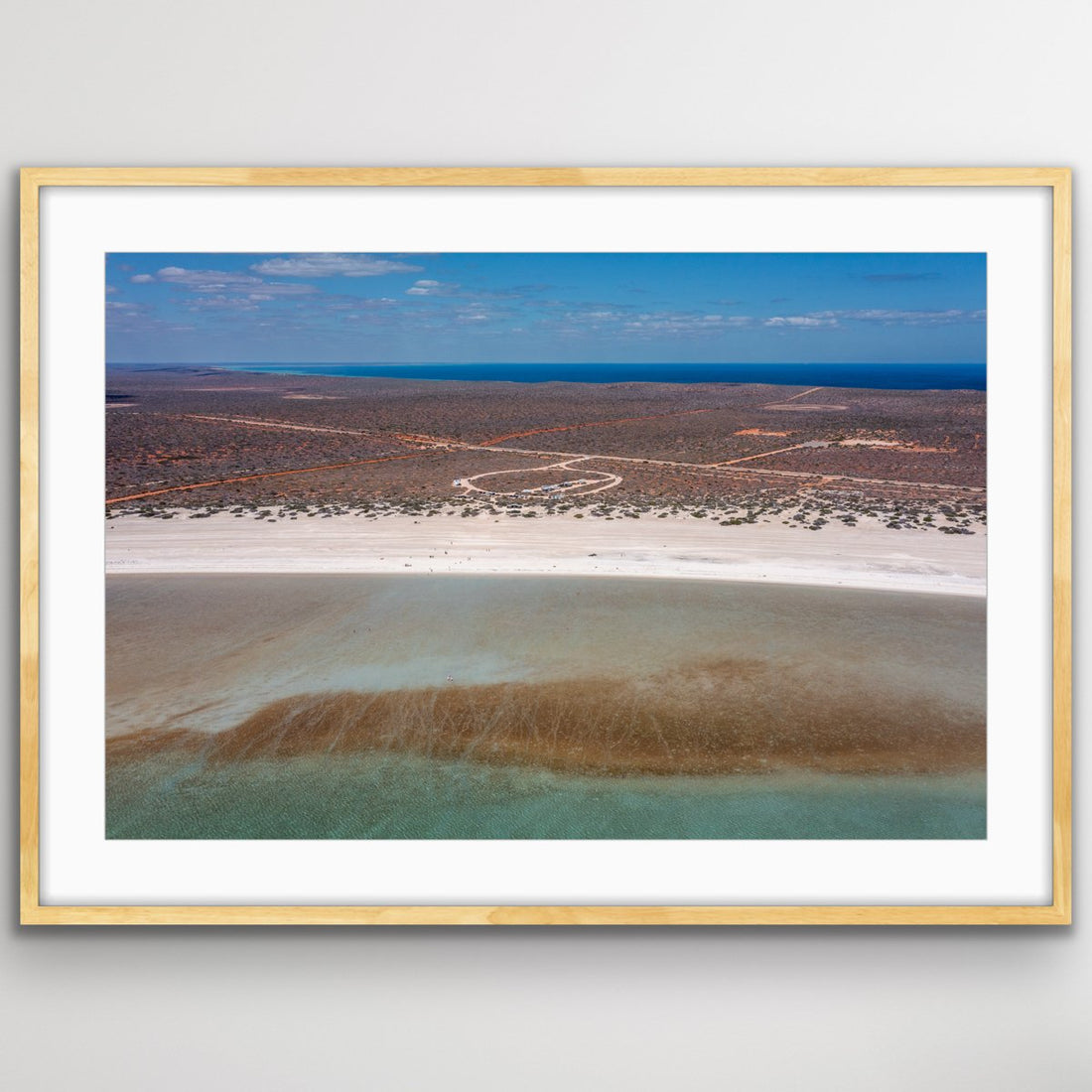 6616ab8ed8c3c268632d0a1d_shell-beach-oak_1748321103154.jpeg