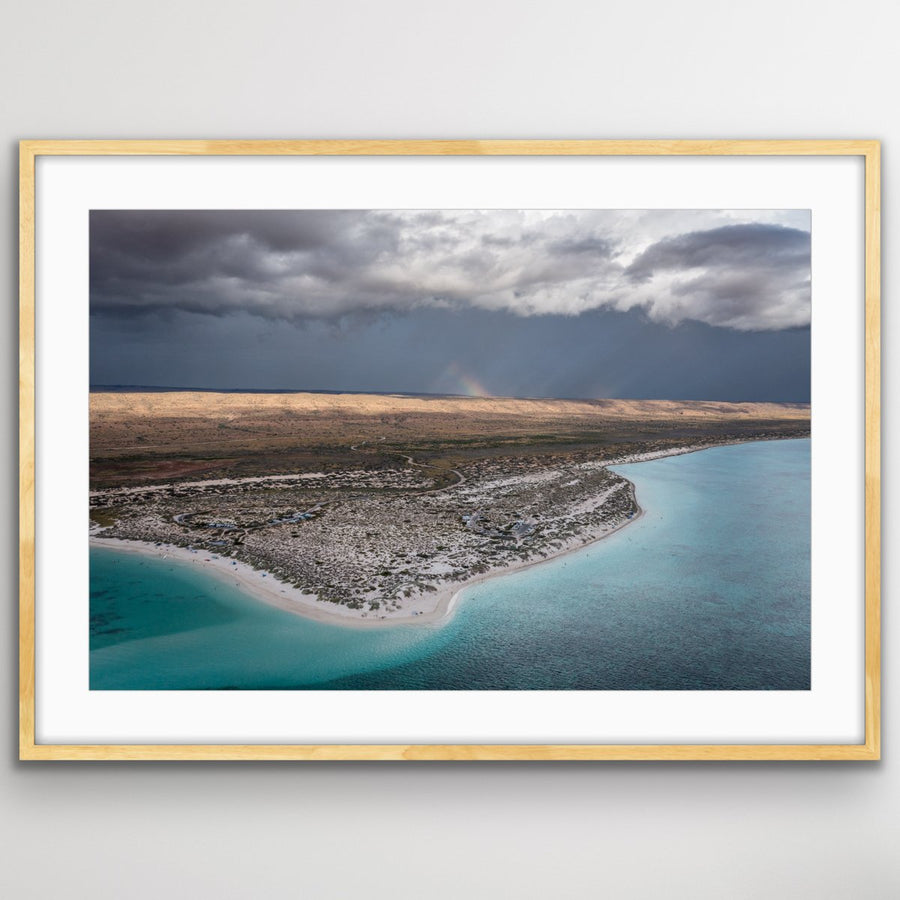 6616ab8ed8c3c268632d0a1d_turquoise-bay-rainbow-oak_1747647129488.jpeg