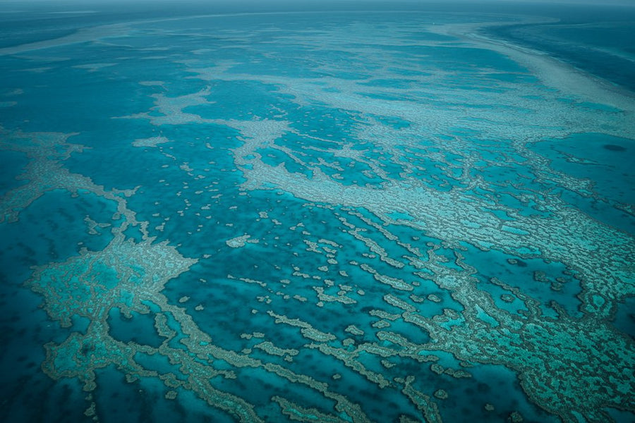 6616ab8ed8c3c268632d0a1d_whitsundays-reef-australia-1_1755669293878.jpg