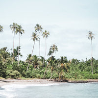 Secluded Samoa Palms - 1