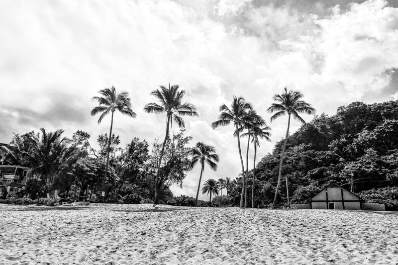 Waimea Palms - 1