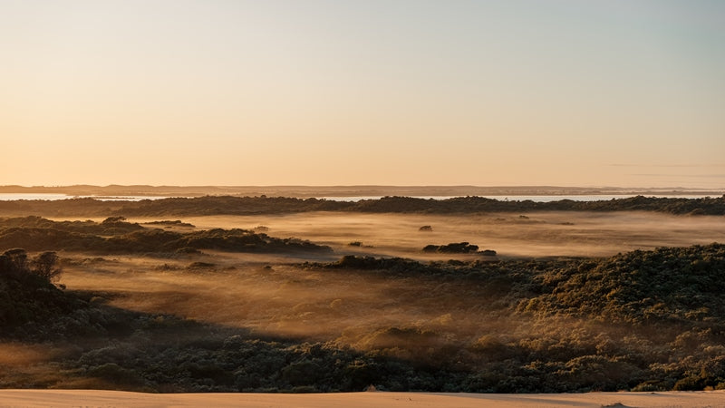 BEACHPORT CONSERVATION PARK