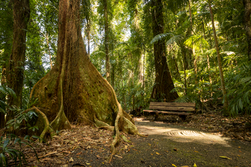 Breathe - Dorrigo NSW - 1