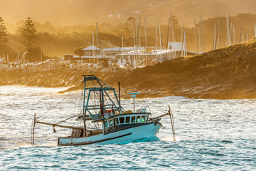 Catch - Coffs Harbour NSW - 1