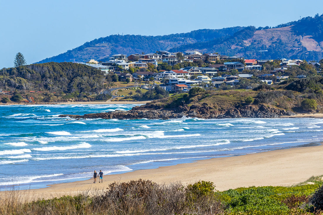 Companion - Sandy Beach, NSW - 1