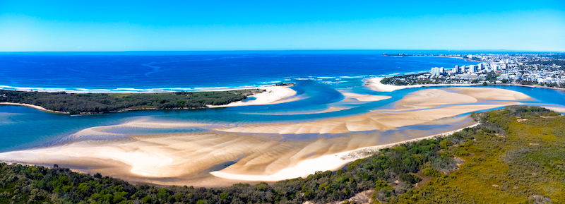 Cotton Tree Pano 2