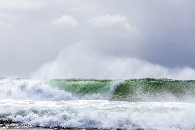 Curl - Coffs Harbour NSW - 1