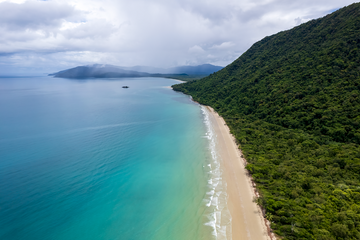 Far North Queensland Daintree Rainforest Coast