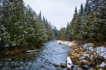 Forks and Credit river - 1