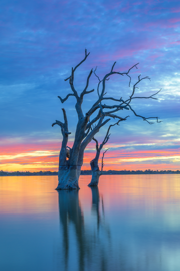 Lake Bonney Colourful Sunset