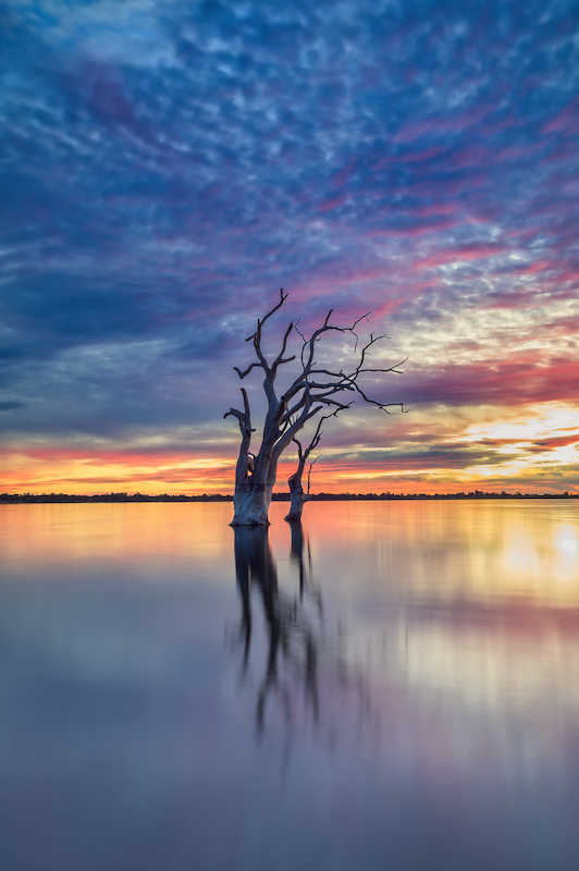 Lake Bonney Barmera South Australia Colourful Sunset