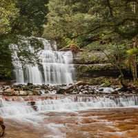 Liffey Falls - 1