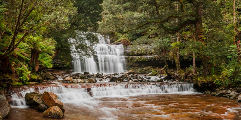 Liffey Falls - 1