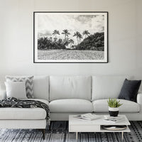 Waimea Palms - 2