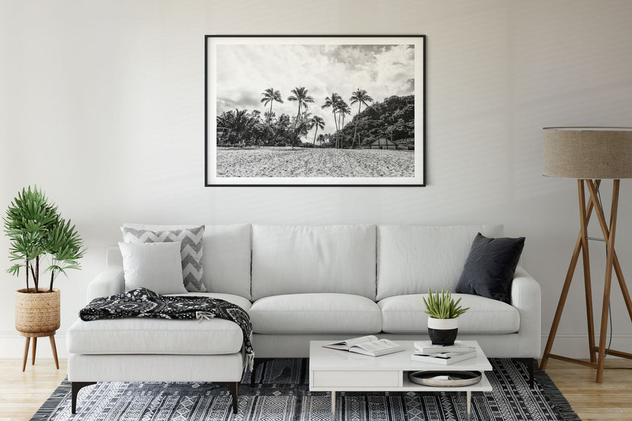 Waimea Palms - 2