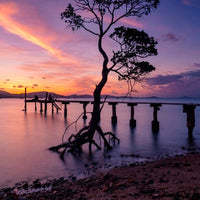 Mandalay Jetty Sunset (Panoramic) - 1