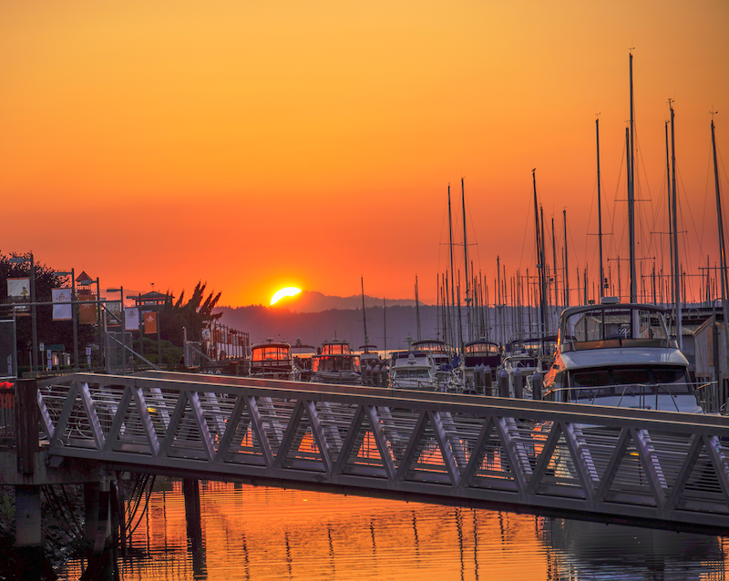 Marina Sunset