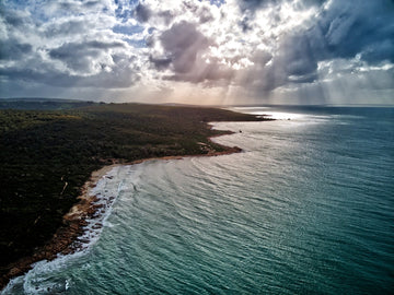 Moody Rays (Western Australia) - 1